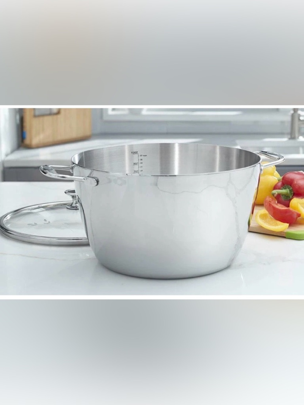 Professional Stainless Stockpot with Lid - Silver